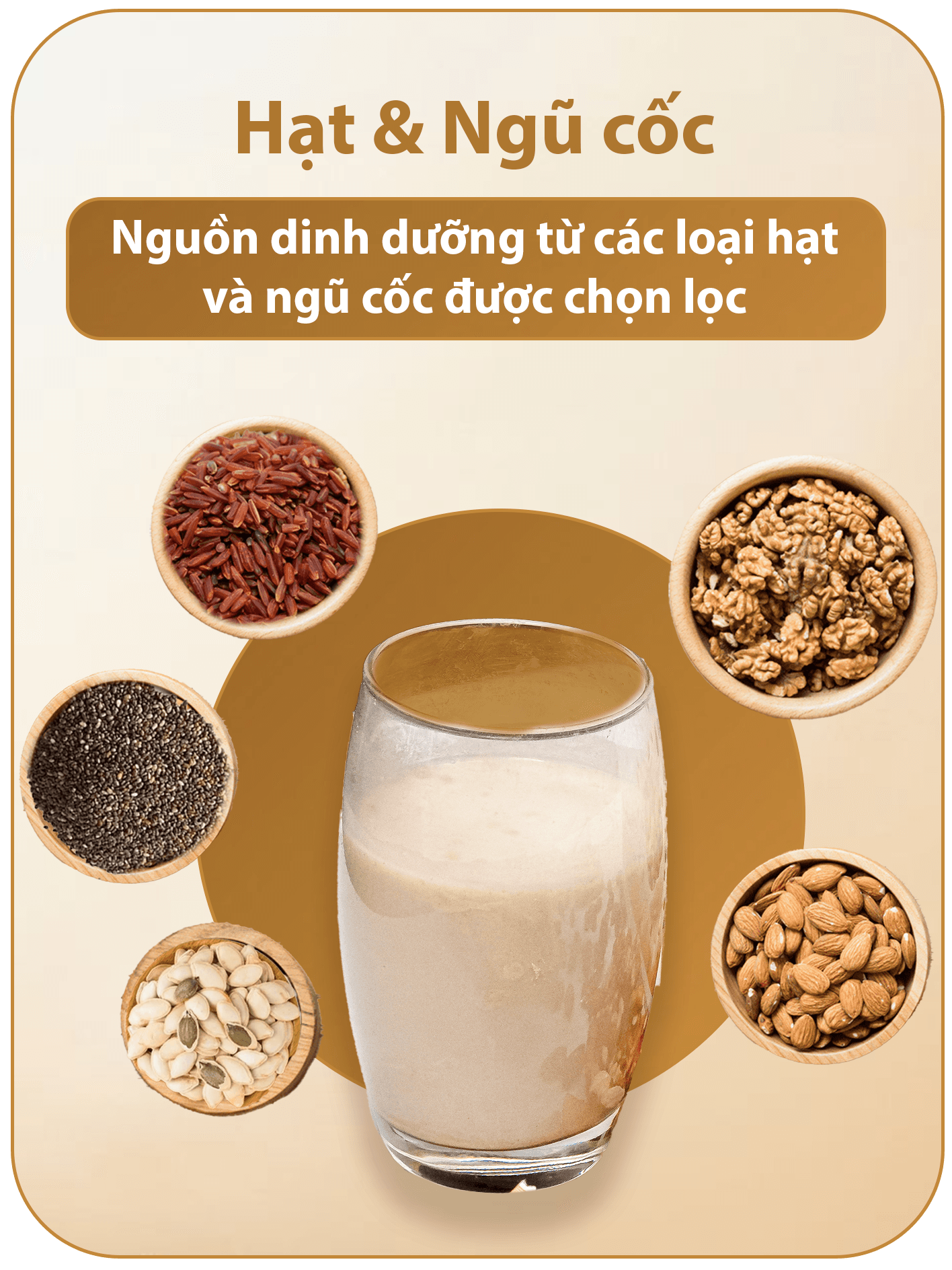 Hạt và ngũ cốc